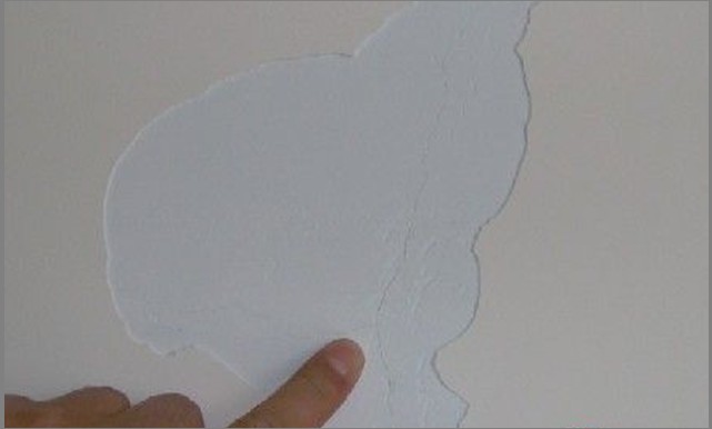 腻子